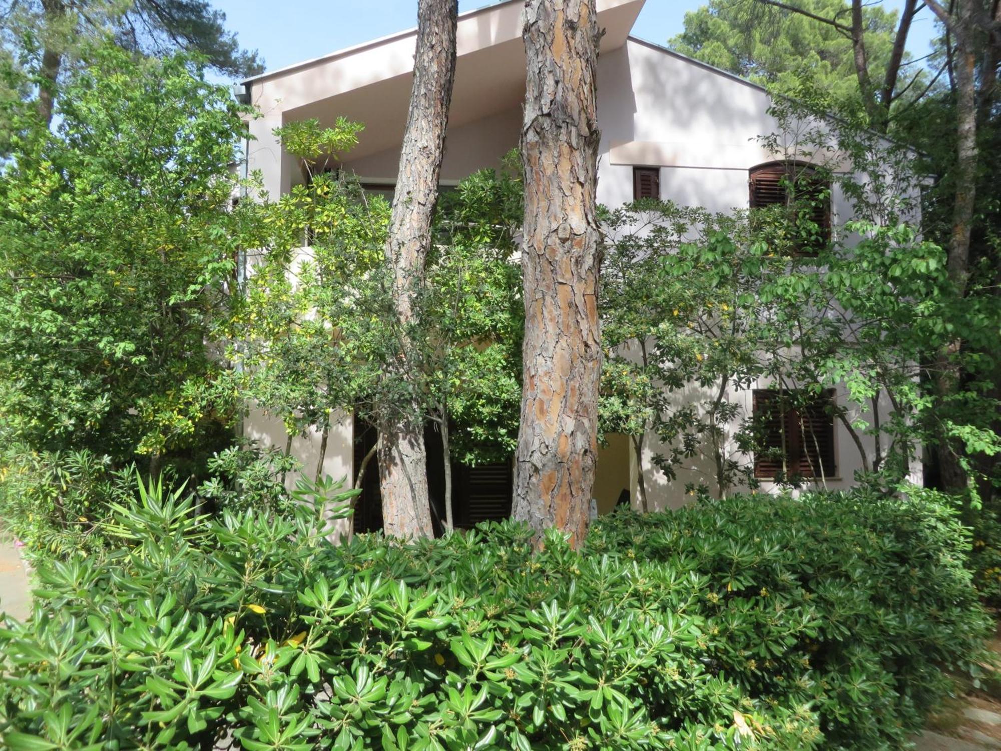 Soline Beach Apartments Biograd Na Moru Phòng bức ảnh